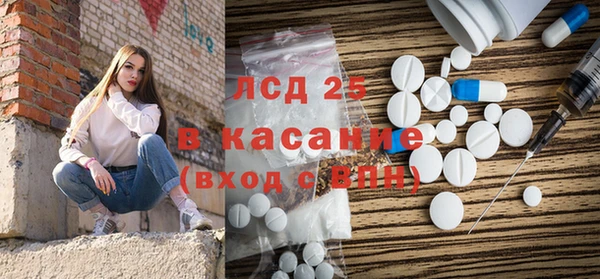 стаф Алзамай