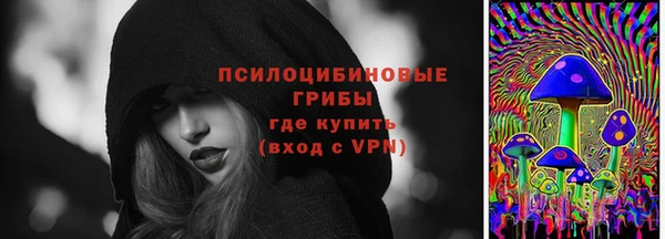 стаф Алзамай