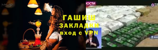 стаф Алзамай