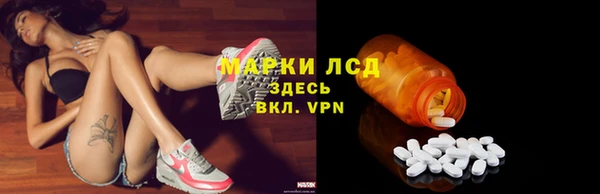 стаф Алзамай