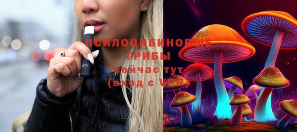 стаф Алзамай